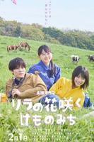 丁香花免费观看在线看电视剧